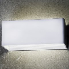 Уличный настенный светодиодный светильник Favourite Twinser 1997-1W